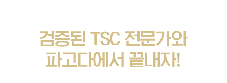 검증된 TSC 전문가와 파고다에서 끝내자!