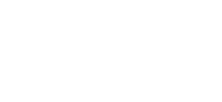 개