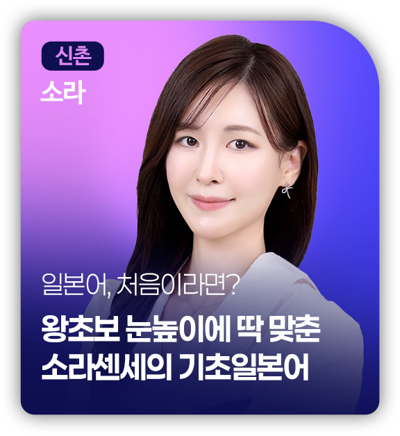 종로 소라 