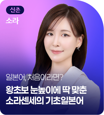 종로 소라 