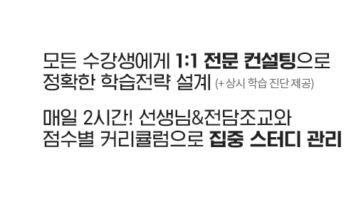 전략 컨설팅