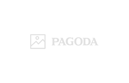신토익 신기술 파고다 신토익